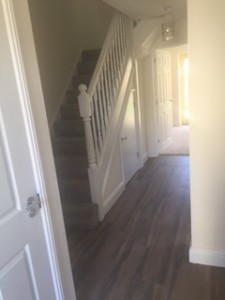 Our Work